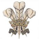 Phil Singleton - Firearms Training Courses in Illinois